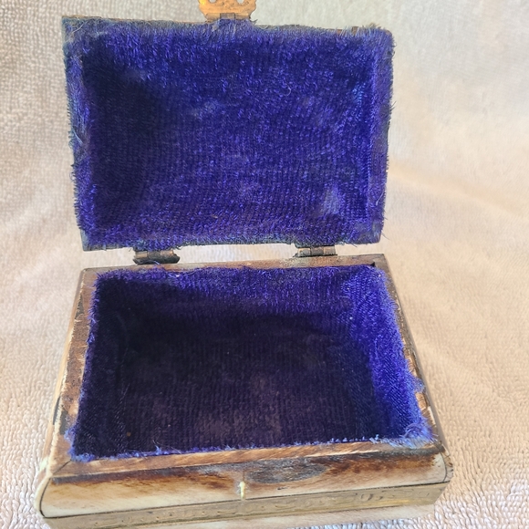 Vintage Bone and Brass Elephant Trinket Box - Picture 3 of 7